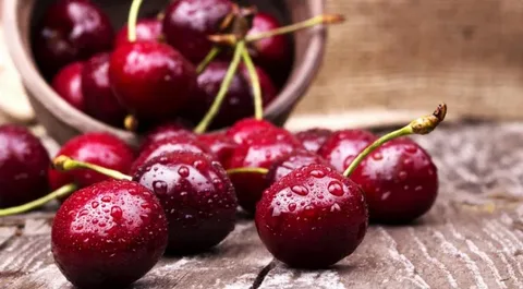 خرید و فروش آبمیوه پاکتی آلبالو با شرایط فوق العاده